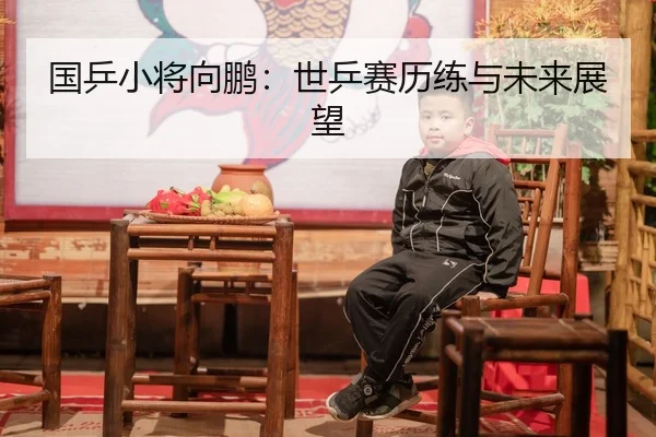 国乒小将向鹏：世乒赛历练与未来展望